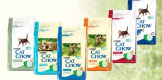 Prueba gratis Cat Chow prueba gratis cat chow