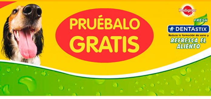 prueba gratis pedigree dentastix fresh