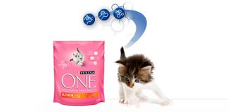Kit de bienvenida de gatos gratis con Purina One kit de bienvenida gratis de gatos con Purina One