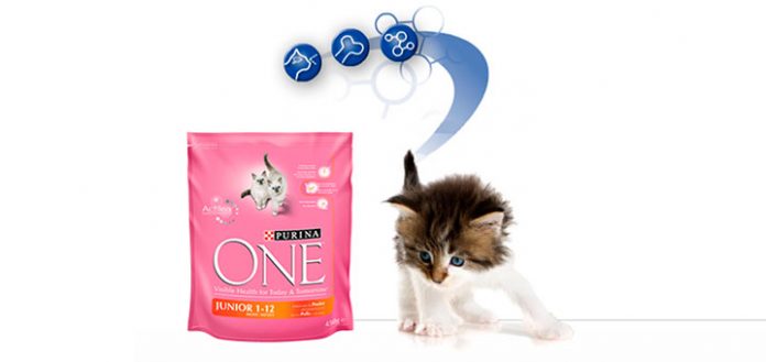 kit de bienvenida gratis de gatos con Purina One