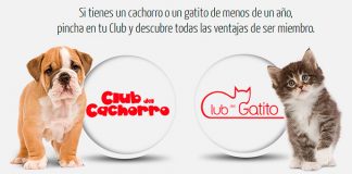 Regalos gratis con Royal Canin regalos gratis con Royal Canin