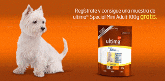 Muestras gratis de Ultima Special Mini Adult muestras gratis de Ultima Special Mini Adult