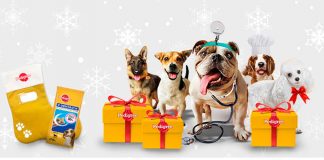 Consigue un calcetín navideño y un Dentastix consigue un calcetín navideño y un dentastix