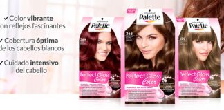Consigue Palette Perfect Gloss Color Consigue Palette Perfect Gloss Color