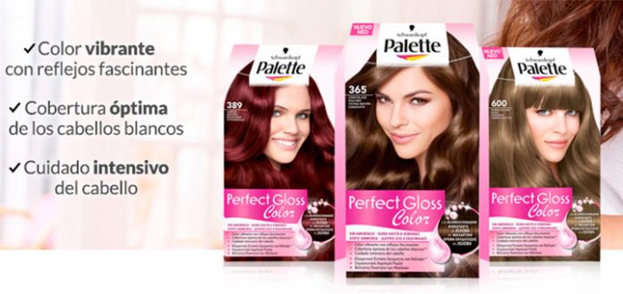 Consigue Palette Perfect Gloss Color