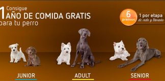 Consigue 1 año de comida gratis para tu perro Consigue 1 año de comida gratis para tu perro