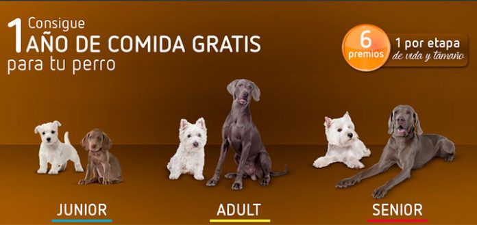 Consigue 1 año de comida gratis para tu perro