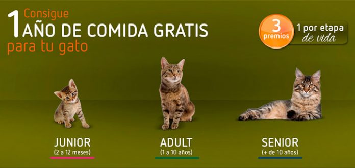 consigue 1 año de comida gratis para tu gato