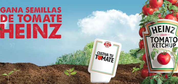 cultiva tu tomate con Heinz