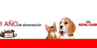 Gana 1 año de alimentación con Royal Canin Gana 1 año de alimentación con Royal Canin
