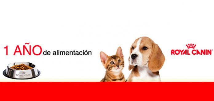 Gana 1 año de alimentación con Royal Canin