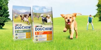 Da a probar a tus mascotas gratis Purina Dog Chow Da a probar a tus mascotas gratis Purina Dog Chow