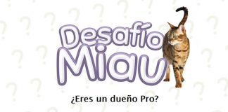 Gana premios con Desafío Pro Plan Gana premios con Desafío Pro Plan