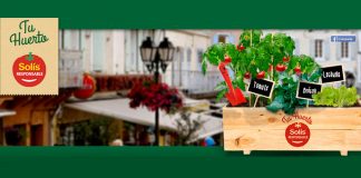 Solís regala kits de huerto urbano