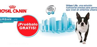 Prueba gratis Royal Canin Urban Life Prueba gratis Royal Canin Urban Life