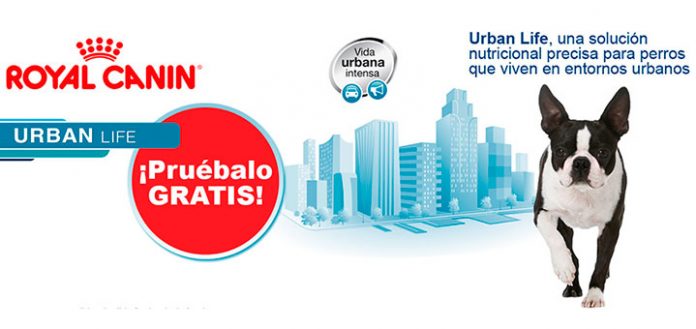 Prueba gratis Royal Canin Urban Life