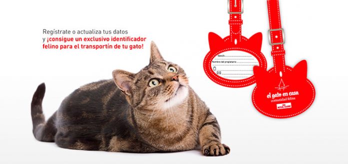 Consigue un identificador de transportín con Royal Canin