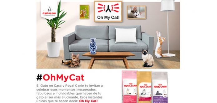 Llévate un año de alimento Royal Canin gratis