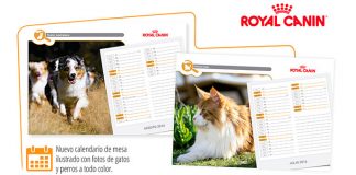 Consigue un calendario 2016 con Royal Canin Consigue un calendario 2016 con Royal Canin