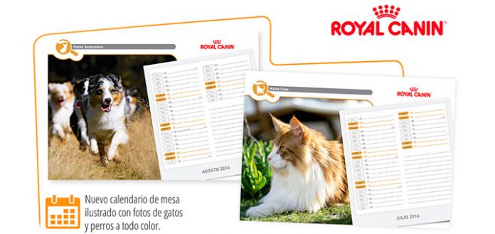 Consigue un calendario 2016 con Royal Canin
