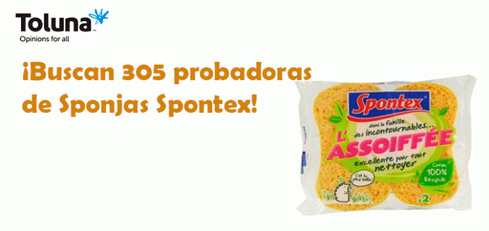 Prueba gratis Sponjas Spontex