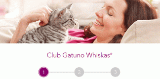 Consigue tu pack de bienvenida Club gatuno Whiskas Consigue tu pack de bienvenida Club gatuno Whiskas