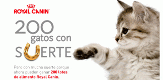 Sortean 200 lotes de alimento Royal Canin Sortean 200 lotes de alimento Royal Canin