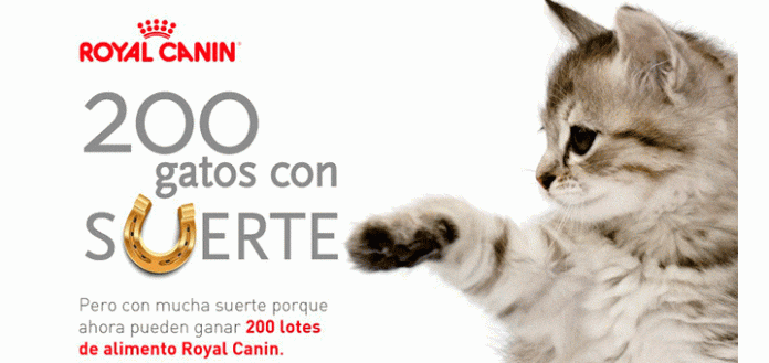 Sortean 200 lotes de alimento Royal Canin