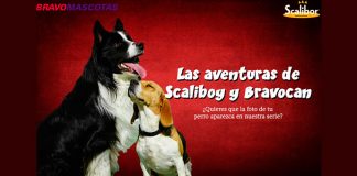 Consigue que tu perro salga en la serie de Scalibor Consigue que tu perro salga en la serie de Scalibor