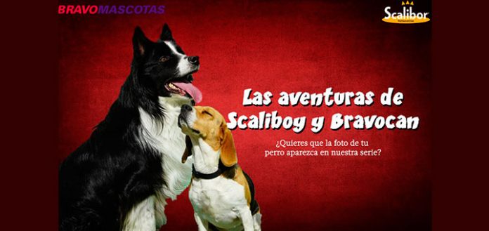 Consigue que tu perro salga en la serie de Scalibor