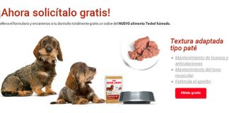 Prueba gratis alimento Teckel de Royal Canin Prueba gratis alimento Teckel de Royal Canin