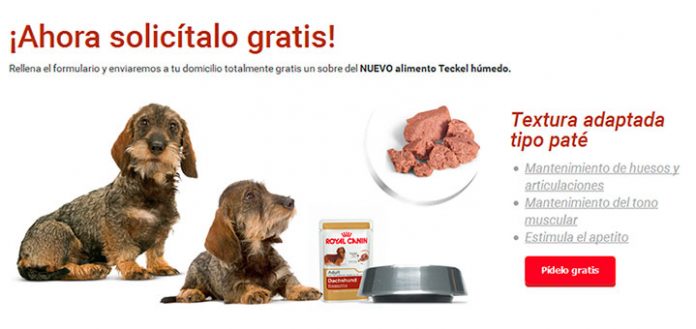 Prueba gratis alimento Teckel de Royal Canin