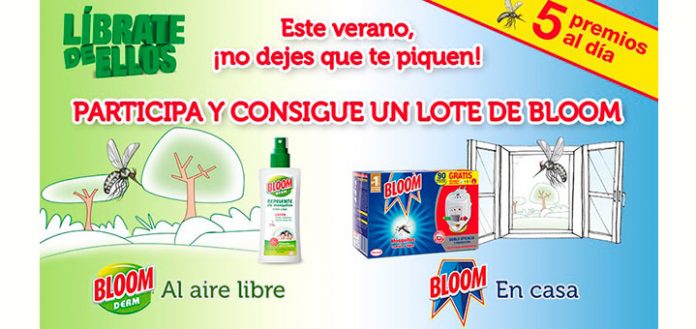 Consigue un lote de Bloom