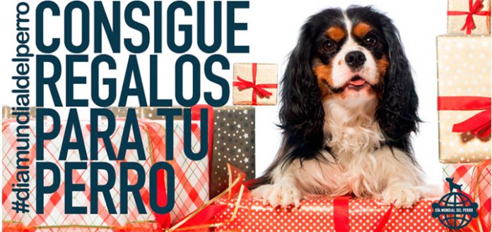 Consigue regalos en el Día Mundial del Perro