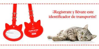 Consigue un identificador para el transportín de tu gato Consigue un identificador para el transportín de tu gato