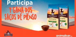 Gana dos sacos de pienso Ideal Balance Gana dos sacos de pienso Ideal Balance