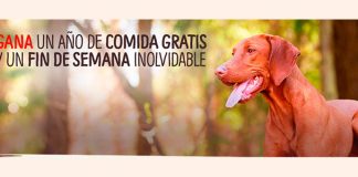 Gana un año de comida gratis con True Instinct Gana un año de comida gratis con True Instinct