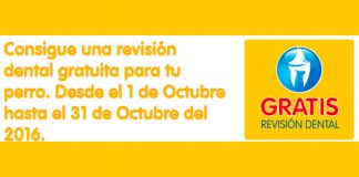 Revisión dental gratis para tu perro Consigue una revisión dental gratis para tu perro