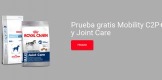 Gratis Mobility C2P + Joint Care Prueba gratis Mobility C2P + Joint Care