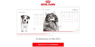 Consigue un calendario 2017 con Royal Canin Consigue un calendario 2017 con Royal Canin
