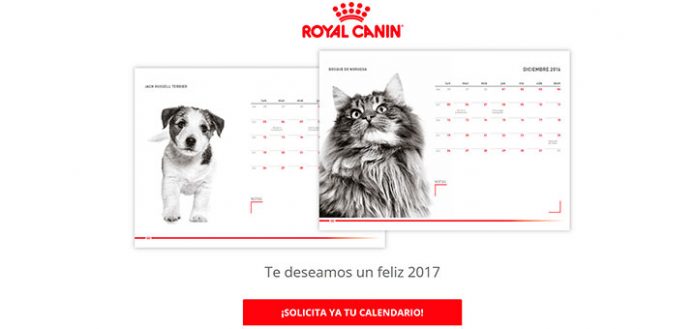 Consigue un calendario 2017 con Royal Canin