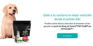 Gana un pack de 800g de Purina Pro Plan Gana un pack de 800g de Purina Pro Plan
