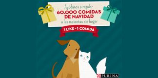Regala 1 comida a las mascotas sin hogar Regala 1 comida a las mascotas sin hogarRegala 1 comida a las mascotas sin hogar