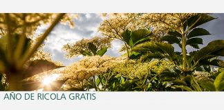 Gana 1 año de Ricola gratis Gana 1 año de Ricola gratis
