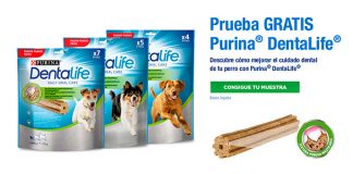Regalan muestras gratis de Purina DentaLife Regalan muestras gratis de Purina DentaLife