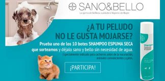 Gana un champú Espuma Seca de Sano&Bello Gana un champú Espuma Seca de Sano&Bello
