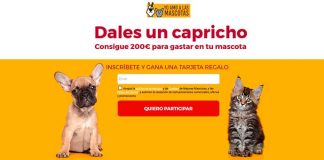 Gana una tarjeta regalo con Yo amo a las mascotas Gana una tarjeta regalo con Yo amo a las mascotas