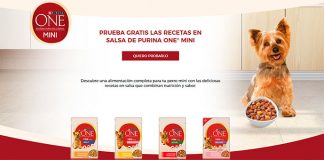 Prueba gratis las nuevas salsas Purina One Mini Prueba gratis las nuevas salsas Purina One Mini