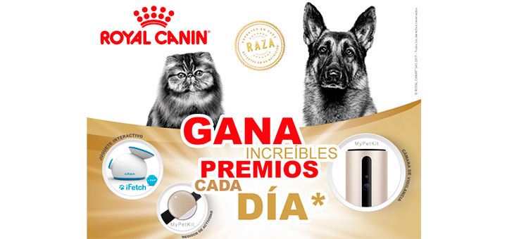 Gana increíbles regalos cada día con Royal Canin