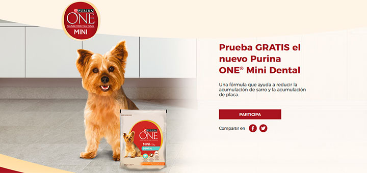 Prueba gratis el nuevo Purina One Mini Dental